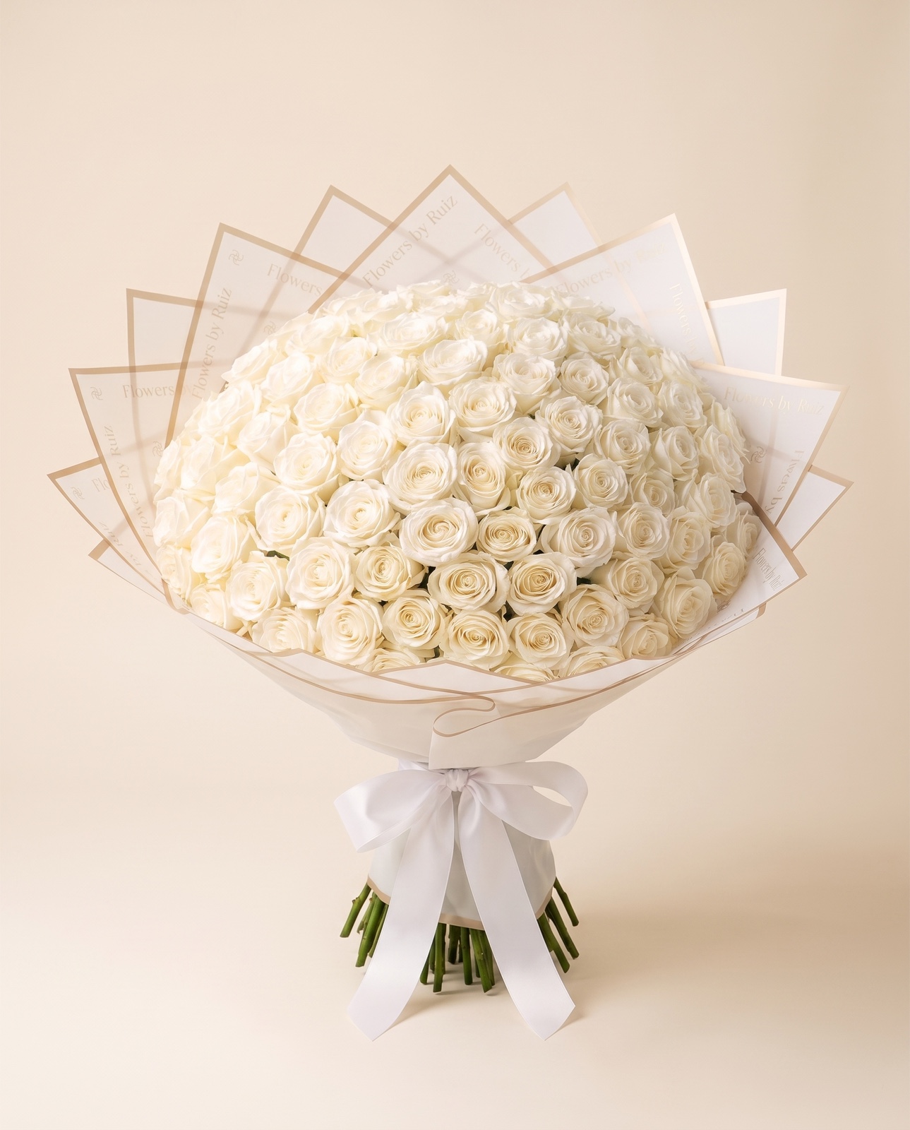 100 White Roses — front studio view